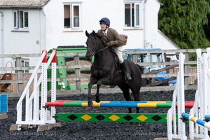 Class 4 - Fences 2'3 to 2'6